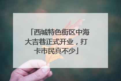 西城特色街区中海大吉巷正式开业，打卡市民真不少