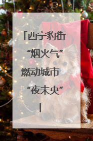 西宁豹街“烟火气” 燃动城市“夜未央”