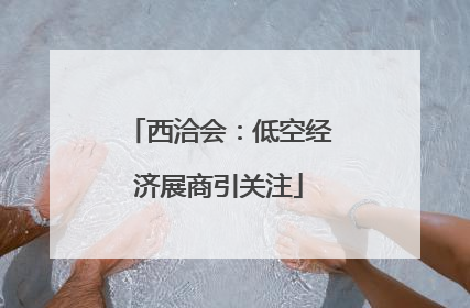西洽会：低空经济展商引关注