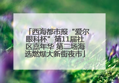 西海都市报“爱尔眼科杯”第11届社区嘉年华 第二场海选燃爆大新街夜市