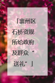 襄州区石桥资规所给政府及群众“送礼”