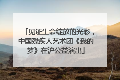 见证生命绽放的光彩，中国残疾人艺术团《我的梦》在沪公益演出