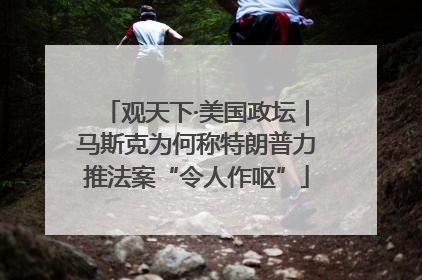 观天下·美国政坛｜马斯克为何称特朗普力推法案“令人作呕”