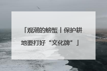 观潮的螃蟹丨保护耕地要打好“文化牌”