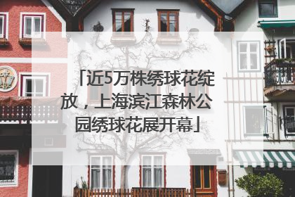 近5万株绣球花绽放，上海滨江森林公园绣球花展开幕