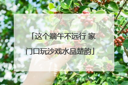 这个端午不远行 家门口玩沙戏水品楚韵