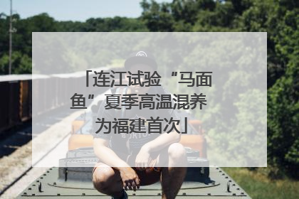 连江试验“马面鱼”夏季高温混养 为福建首次