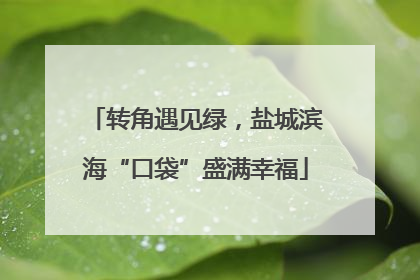 转角遇见绿，盐城滨海“口袋”盛满幸福