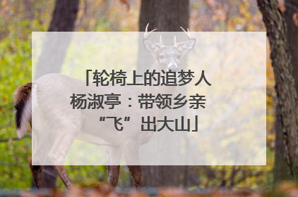 轮椅上的追梦人杨淑亭：带领乡亲“飞”出大山