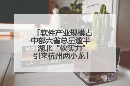 软件产业规模占中部六省总量逾半 湖北“软实力”引来杭州两小龙