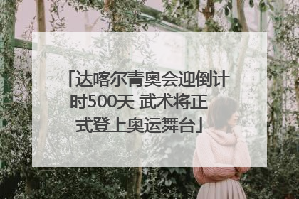 达喀尔青奥会迎倒计时500天 武术将正式登上奥运舞台