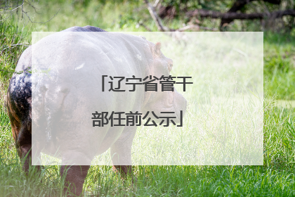 辽宁省管干部任前公示