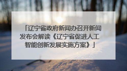 辽宁省政府新闻办召开新闻发布会解读《辽宁省促进人工智能创新发展实施方案》