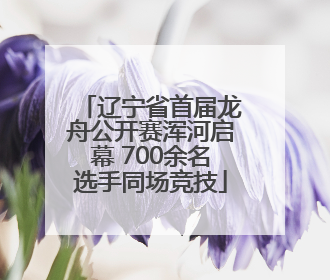 辽宁省首届龙舟公开赛浑河启幕 700余名选手同场竞技