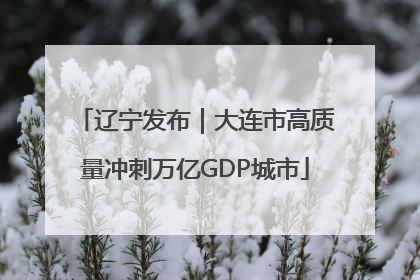 辽宁发布｜大连市高质量冲刺万亿GDP城市