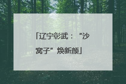 辽宁彰武：“沙窝子”焕新颜