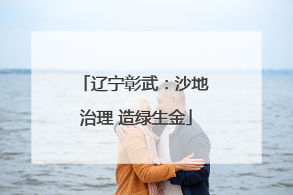 辽宁彰武：沙地治理 造绿生金