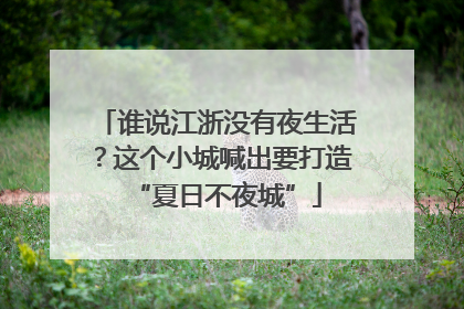谁说江浙没有夜生活？这个小城喊出要打造“夏日不夜城”