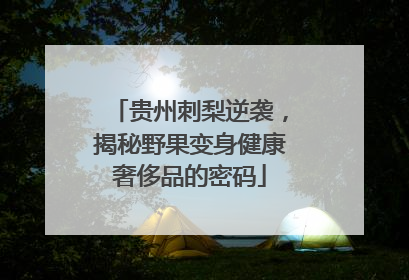 贵州刺梨逆袭，揭秘野果变身健康奢侈品的密码