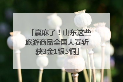 赢麻了！山东这些旅游商品全国大赛斩获3金1银5铜