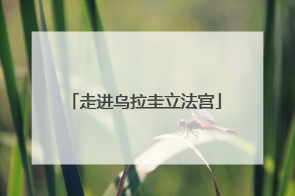 走进乌拉圭立法宫