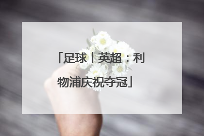 足球丨英超：利物浦庆祝夺冠