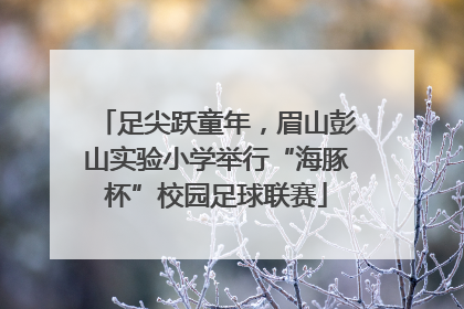 足尖跃童年，眉山彭山实验小学举行“海豚杯”校园足球联赛