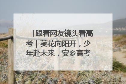 跟着网友镜头看高考｜葵花向阳开，少年赴未来，安乡高考首日的希望图景