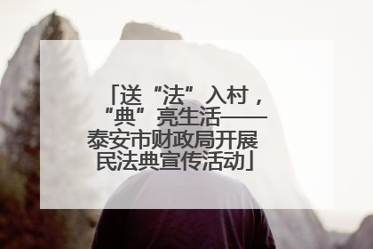 送“法”入村，“典”亮生活——泰安市财政局开展民法典宣传活动