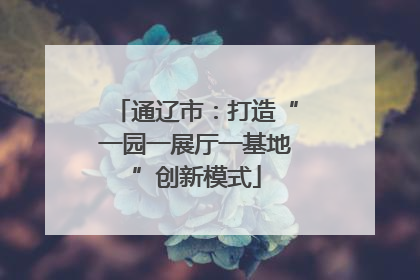 通辽市：打造“一园一展厅一基地”创新模式