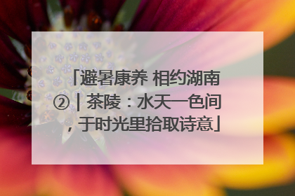 避暑康养 相约湖南②｜茶陵：水天一色间，于时光里拾取诗意