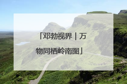 邓勃视界｜万物同栖岭南图