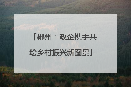 郴州：政企携手共绘乡村振兴新图景