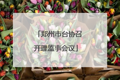 郑州市台协召开理监事会议