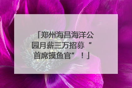 郑州海昌海洋公园月薪三万招募“首席摸鱼官”！