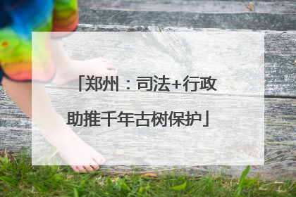 郑州：司法+行政助推千年古树保护