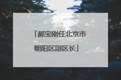 郝宝刚任北京市朝阳区副区长