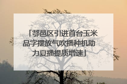 鄠邑区引进首台玉米品字摆放气吹播种机助力夏播提质增速