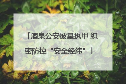 酒泉公安披星执甲 织密防控“安全经纬”