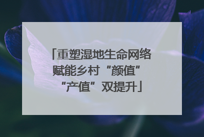 重塑湿地生命网络 赋能乡村“颜值”“产值”双提升