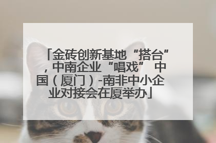 金砖创新基地“搭台”，中南企业“唱戏” 中国（厦门）-南非中小企业对接会在厦举办