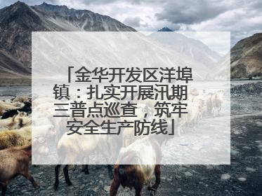 金华开发区洋埠镇：扎实开展汛期三普点巡查，筑牢安全生产防线
