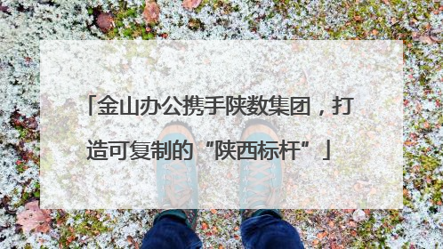 金山办公携手陕数集团，打造可复制的“陕西标杆”