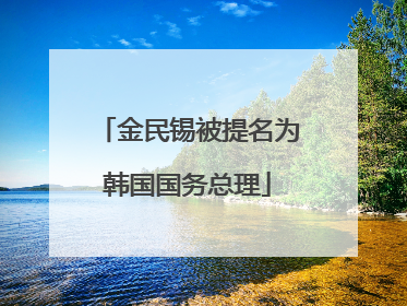 金民锡被提名为韩国国务总理