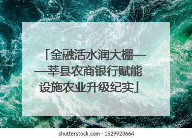 金融活水润大棚——莘县农商银行赋能设施农业升级纪实