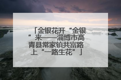 金银花开“金银”来——淄博市高青县常家镇共富路上“一路生花”