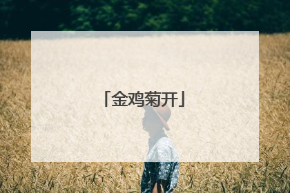 金鸡菊开
