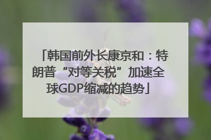 韩国前外长康京和：特朗普“对等关税”加速全球GDP缩减的趋势