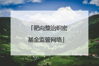 靶向整治织密基金监管网络