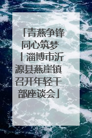 青燕争锋 同心筑梦丨淄博市沂源县燕崖镇召开年轻干部座谈会